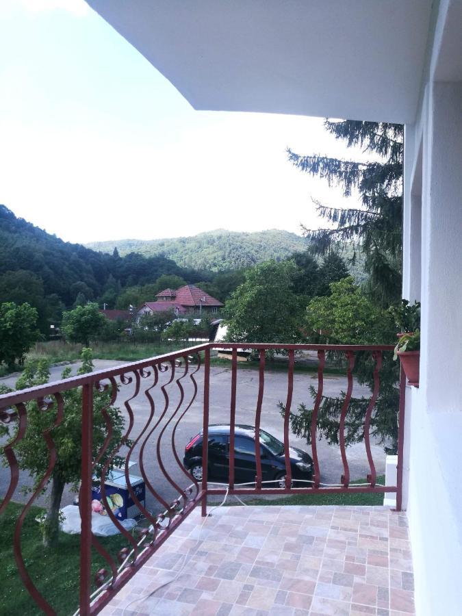 Pensiunea Costesti Kültér fotó