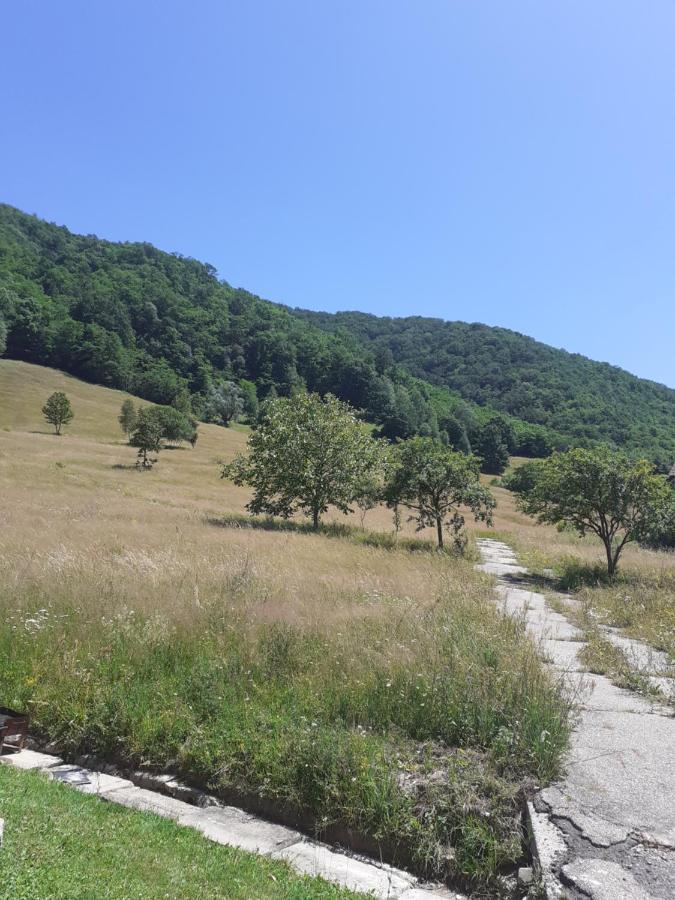 Pensiunea Costesti Kültér fotó