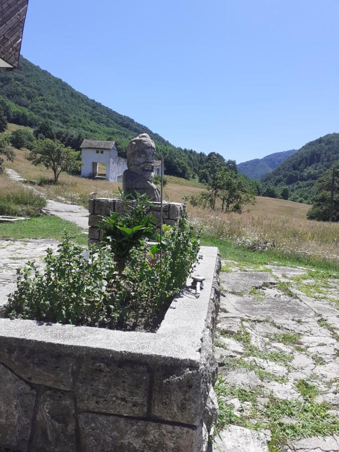 Pensiunea Costesti Kültér fotó